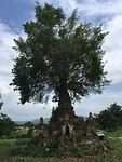 IMG_0623