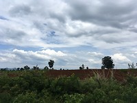 IMG_0649