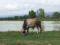 IMG_0697