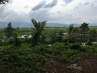 IMG_0702