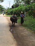 IMG_0725
