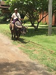 IMG_0726