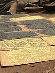 IMG_0731