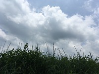 IMG_0743