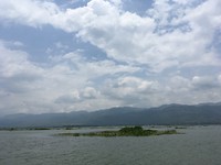 IMG_0785