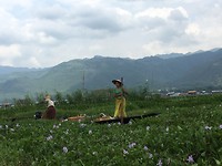 IMG_0794