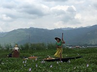 IMG_0795