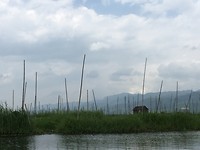 IMG_0798
