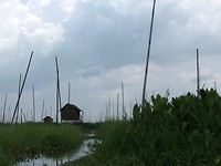 IMG_0808