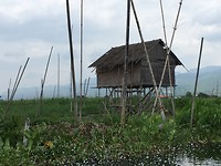 IMG_0812