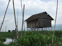 IMG_0814