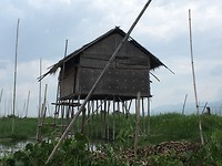 IMG_0817