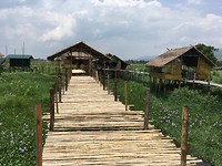 IMG_0897