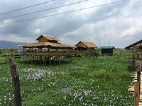 IMG_0898