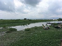 IMG_0910