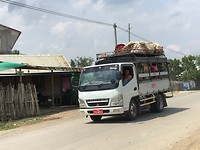 IMG_0924