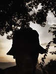 IMG_0971