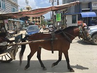 IMG_1004