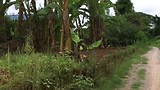 Fietsen in Hsipaw