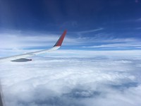 IMG_1173