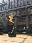 IMG_1203