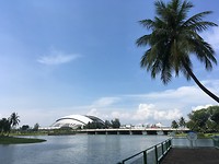 IMG_1215
