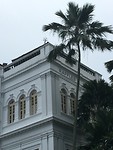 IMG_1243