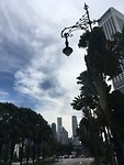 IMG_1245