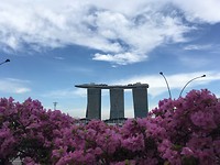 IMG_1300