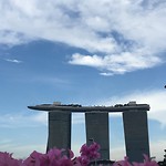 IMG_1303