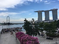 IMG_1323