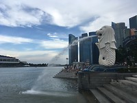 IMG_1325
