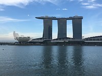 IMG_1339