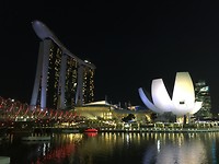 IMG_1371