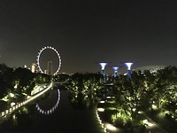 IMG_1416