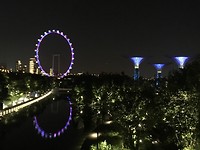 IMG_1420