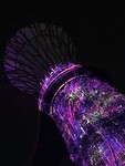 IMG_1443
