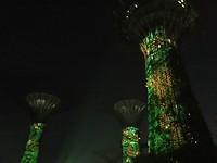 IMG_1446