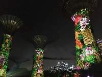 IMG_1447