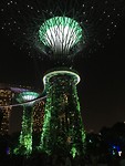 IMG_1450
