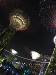 IMG_1455