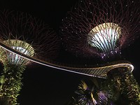 IMG_1478