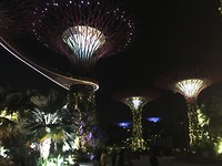 IMG_1481