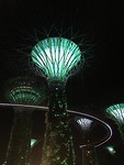 IMG_1490