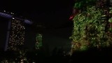 Singapore Marina Bay Supert Trees de show.