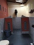IMG_1543