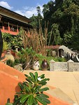 IMG_1559
