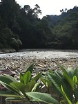 IMG_1560