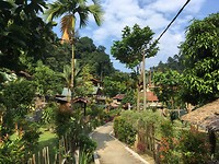 IMG_1565