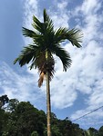 IMG_1566